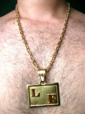 Cadeado Cartier Falcon I Folheado a Ouro 18k
